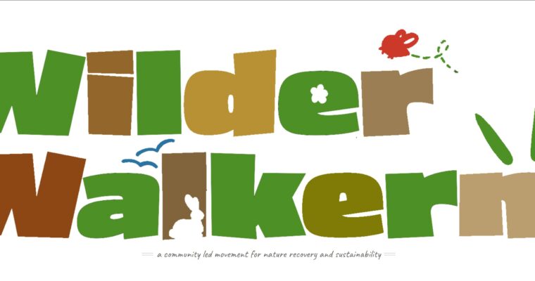 Launch of the Wilder Walkern website