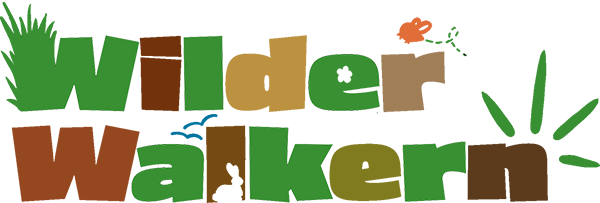 Launch of the Wilder Walkern website