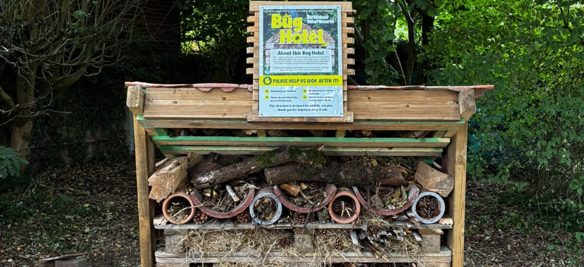 Walkern Bug Hotel Now Open