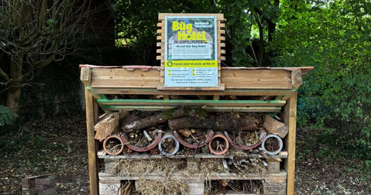 Walkern Bug Hotel Now Open